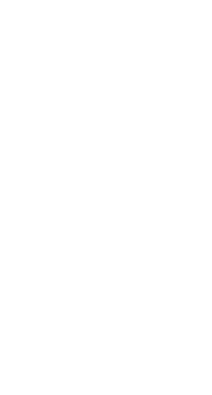 こだわりの食材をぎゅっと詰めた河田のメンチカツ